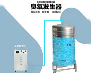 移動式臭氧發(fā)生器-03