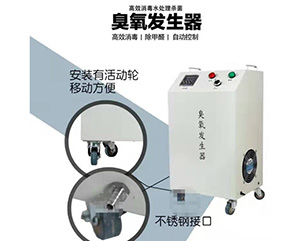 移動(dòng)式臭氧發(fā)生器-06